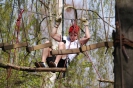 Kletterausflug 2014